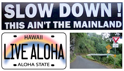 Live Aloha! Travel safely on the Road to Hana.  Slow down, let others pass, and yield to oncoming traffic.